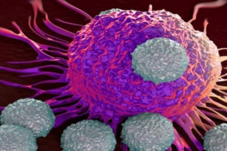 Loại rau được chuyên gia Mỹ nghiên cứu có khả năng ức chế tế bào ung thư, người Việt nên ăn thường xuyên