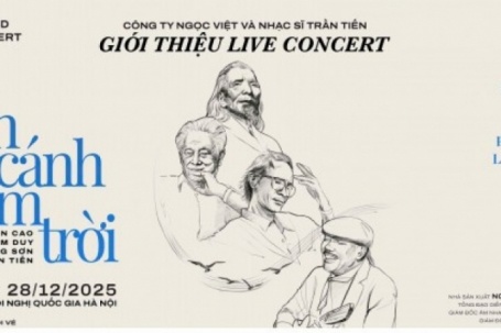 Ban tổ chức đêm nhạc “Về đây bốn cánh chim trời” có thể chịu mức phạt nào?