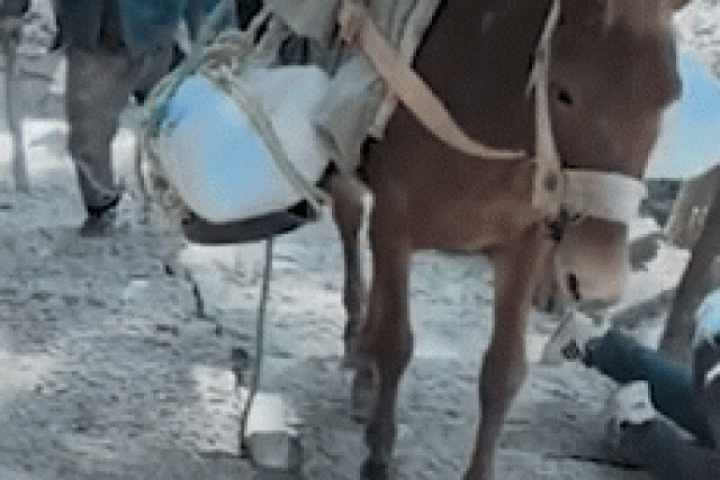 Du khách ngã lộn cổ xuống núi vì mải nhìn điện thoại