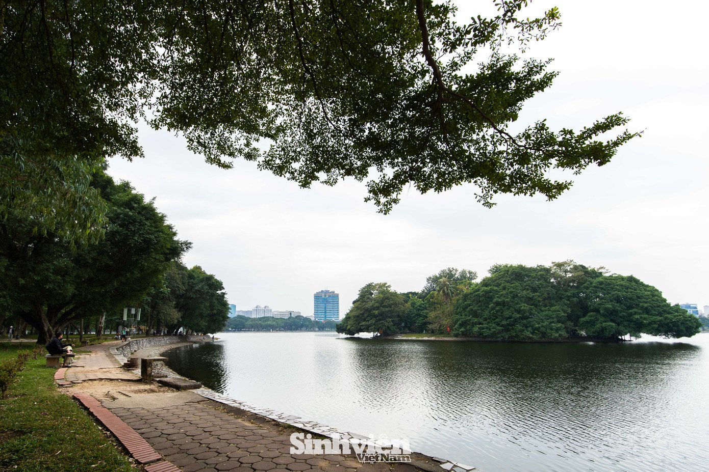 Sự thật về ‘đảo mèo’ nằm giữa hồ Bảy Mẫu, công viên Thống Nhất - 2