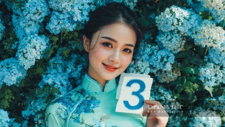 Con số may mắn hôm nay 31/12 của con giáp tuổi Mão: 3 và 8. Màu sắc may mắn: Xanh lam và xanh ngọc