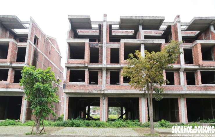 Golden Hills City trước đây là Khu đô thị Thủy Tú, được phê duyệt quy hoạch chi tiết lần đầu năm 2008 với diện tích hơn 342 ha. Năm 2010, dự án đổi tên thành Khu đô thị sinh thái Quan Nam – Thủy Tú, đến năm 2013 tiếp tục điều chỉnh diện tích và mang tên Golden Hills City.