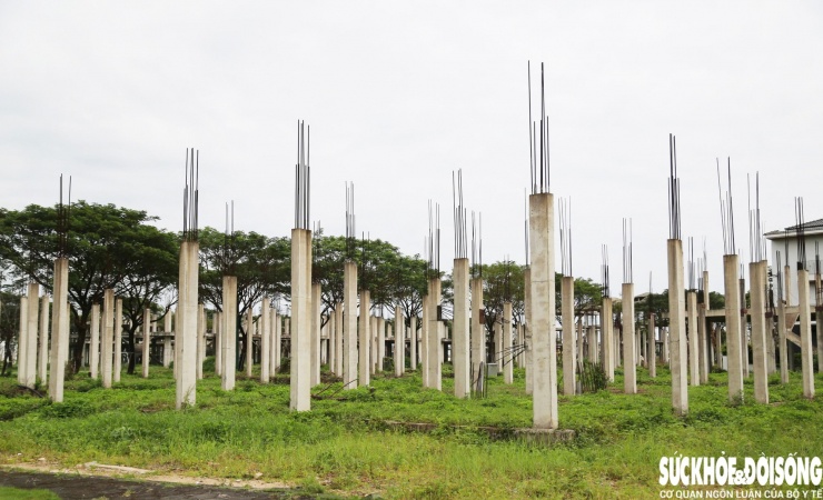 Những con đường rộng nhưng vắng lặng, không bóng người; rêu mốc và cây dại bắt đầu xâm lấn. Một số khối nhà trơ hệ cột hoặc thi công nửa chừng, nằm phơi nắng, phơi sương nhiều năm qua.