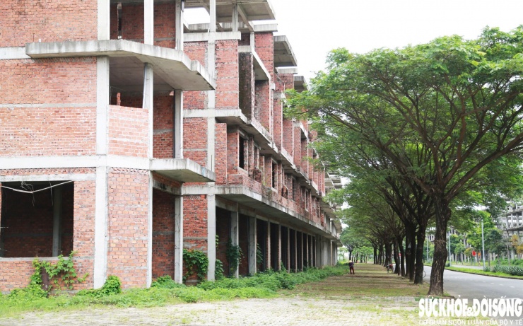 Theo kết luận, UBND TP Đà Nẵng không tổ chức đấu thầu lựa chọn nhà đầu tư thực hiện dự án có sử dụng đất; lựa chọn Công ty Nam Trung là nhà đầu tư khi chưa đánh giá, so sánh năng lực các công ty khác là vi phạm quy định.