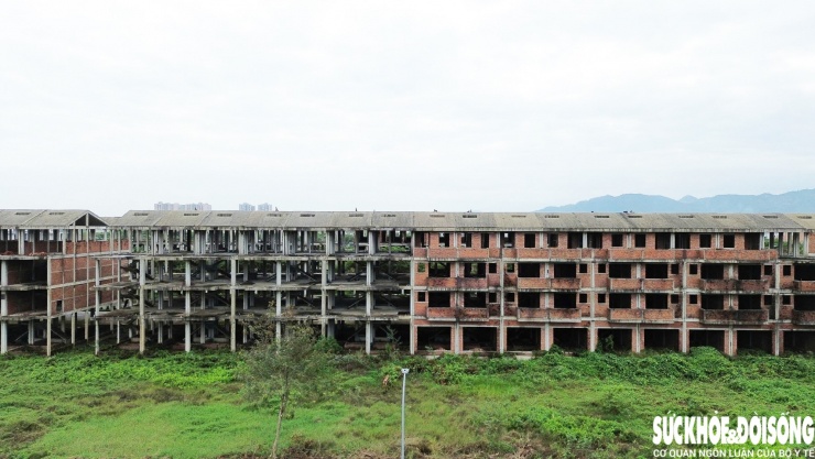 Thanh tra Chính phủ cũng đề nghị thu hồi phần đất ngoài ranh giới đã giao, rà soát và thu đủ tiền sử dụng đất, tiền thuê đất với diện tích đất lúa. Chủ đầu tư phải khắc phục tồn tại, hoàn thành nghĩa vụ tài chính và hoàn trả diện tích đất sử dụng sai.