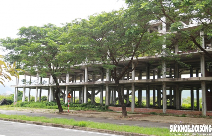 Từ các sai phạm nêu trên, Thanh tra Chính phủ kiến nghị Thủ tướng chỉ đạo UBND TP Đà Nẵng làm rõ trách nhiệm tập thể, cá nhân liên quan; trường hợp có dấu hiệu hình sự, chuyển cơ quan chức năng xử lý.