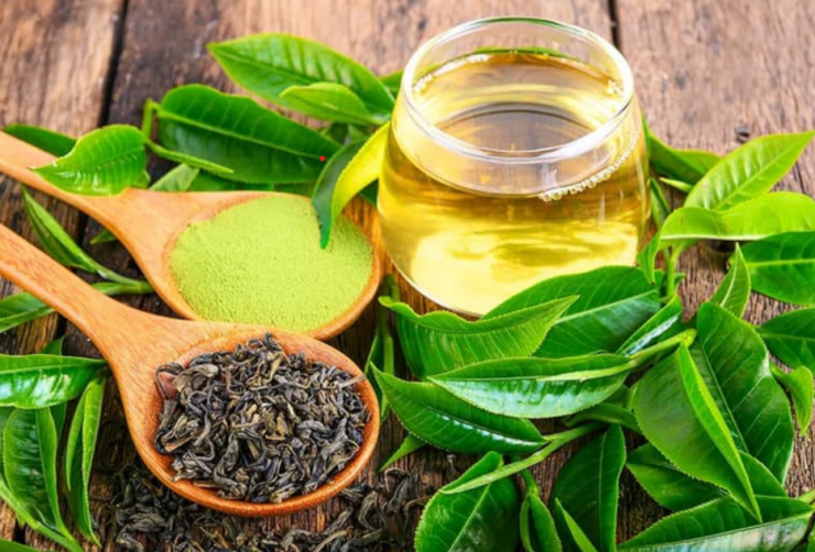 Tiêu thụ trà xanh thường xuyên cũng giúp tăng cường tốc độ trao đổi chất cơ bản.