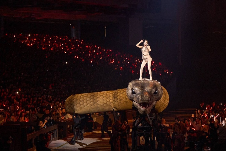 Nữ ca sĩ cưỡi mãng xà dài 30 m trước 40.000 người - 5