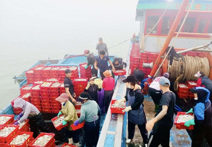 Trúng đậm mẻ cá lú, bán vội cũng đút túi 700 triệu đồng, ngư dân Nghệ An còn được tặng cờ thi đua ngay tại cảng - 4