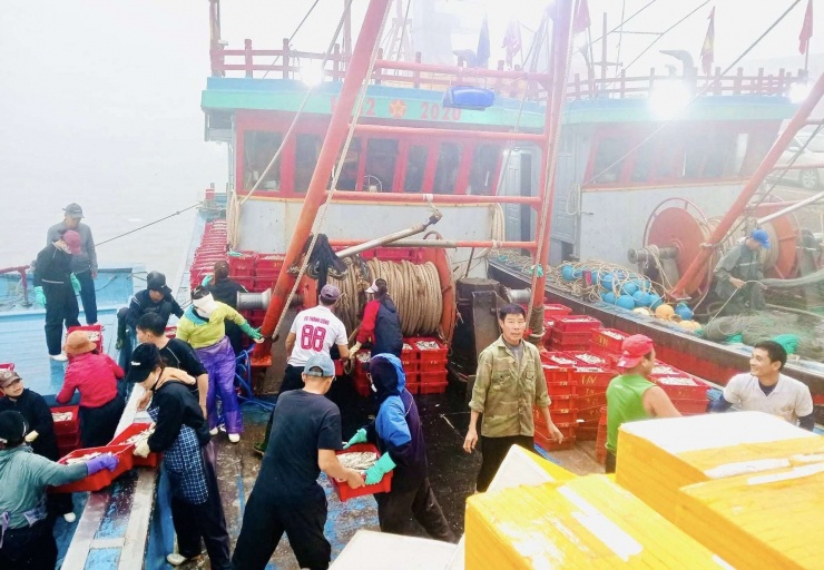 Trúng đậm mẻ cá lú, bán vội cũng đút túi 700 triệu đồng, ngư dân Nghệ An còn được tặng cờ thi đua ngay tại cảng - 5