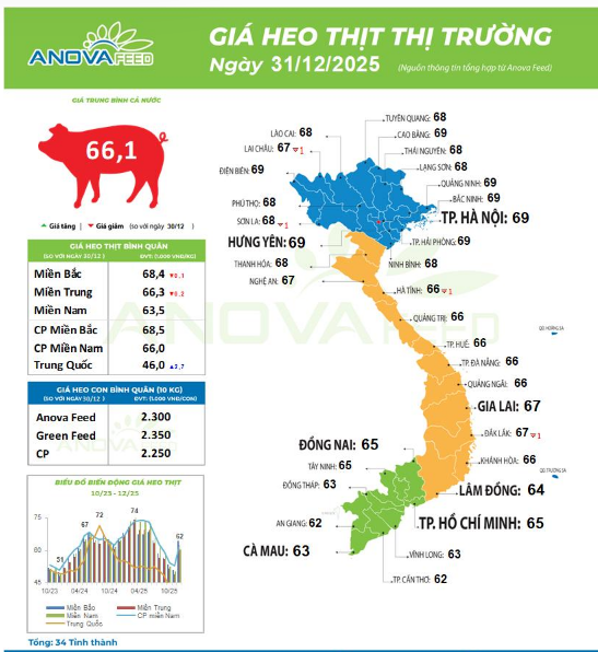 Giá lợn hơi đang biến động giảm khi thời điểm cuối năm Tết Nguyên đán gần kề. Mốc giá 70.000 đồng/kg đã biến mất khỏi thị trường.