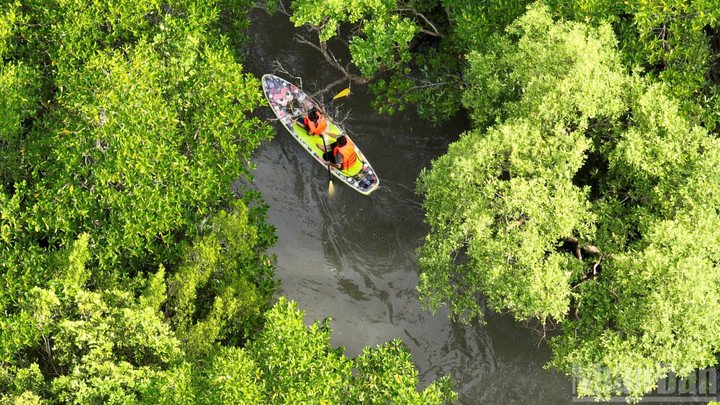Cần Giờ - “lá phổi xanh” của TP.HCM.