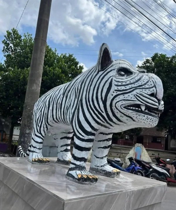 Nhìn góc nào cũng khó thấy giống hổ. Ảnh: 9gag.