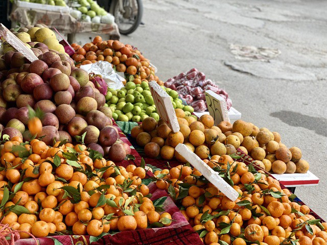 Cam Cao Phong là một trong những mặt hàng được nhiều người tiêu dùng ưa chuộng.