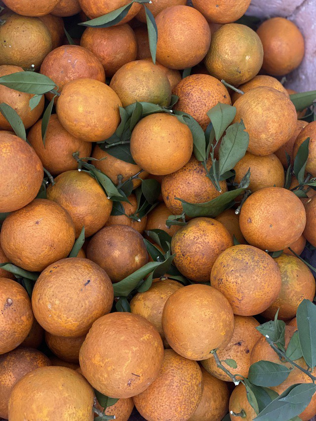 Nhiều năm trở lại đây, cam Cao Phong bắt đầu có thương hiệu, chỗ đứng trên thị trường nhờ vị ngọt thanh, đậm đà.