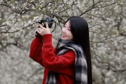 Hoa mận Mộc Châu bung sắc trắng đẹp như cổ tích, du khách không nên bỏ lỡ trong dịp Tết dương lịch 2026