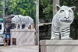 Tượng hổ trắng ở Indonesia gây chú ý vì ngoại hình độc lạ: Ngựa vằn lai hà mã?
