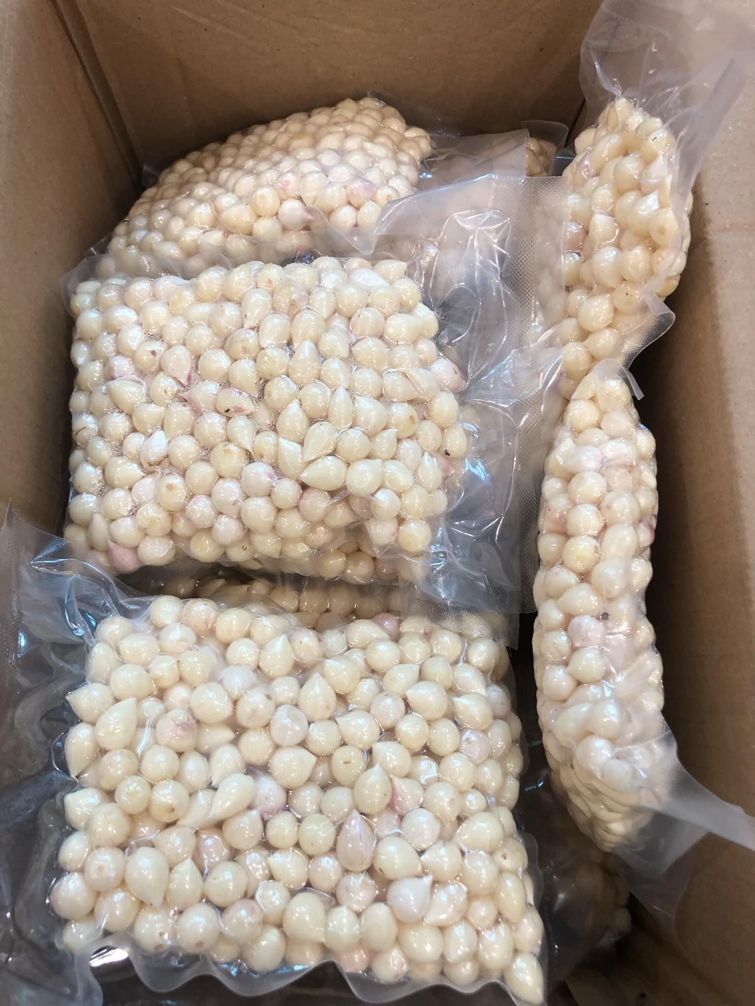 Do tất cả các tinh chất của cây đều tập trung vào một nhánh tỏi nên tỏi cô đơn Phù Yên dù chỉ to bằng ngón tay út nhưng rất nhiều tinh dầu. Ảnh: Nguyễn Bắc Trà