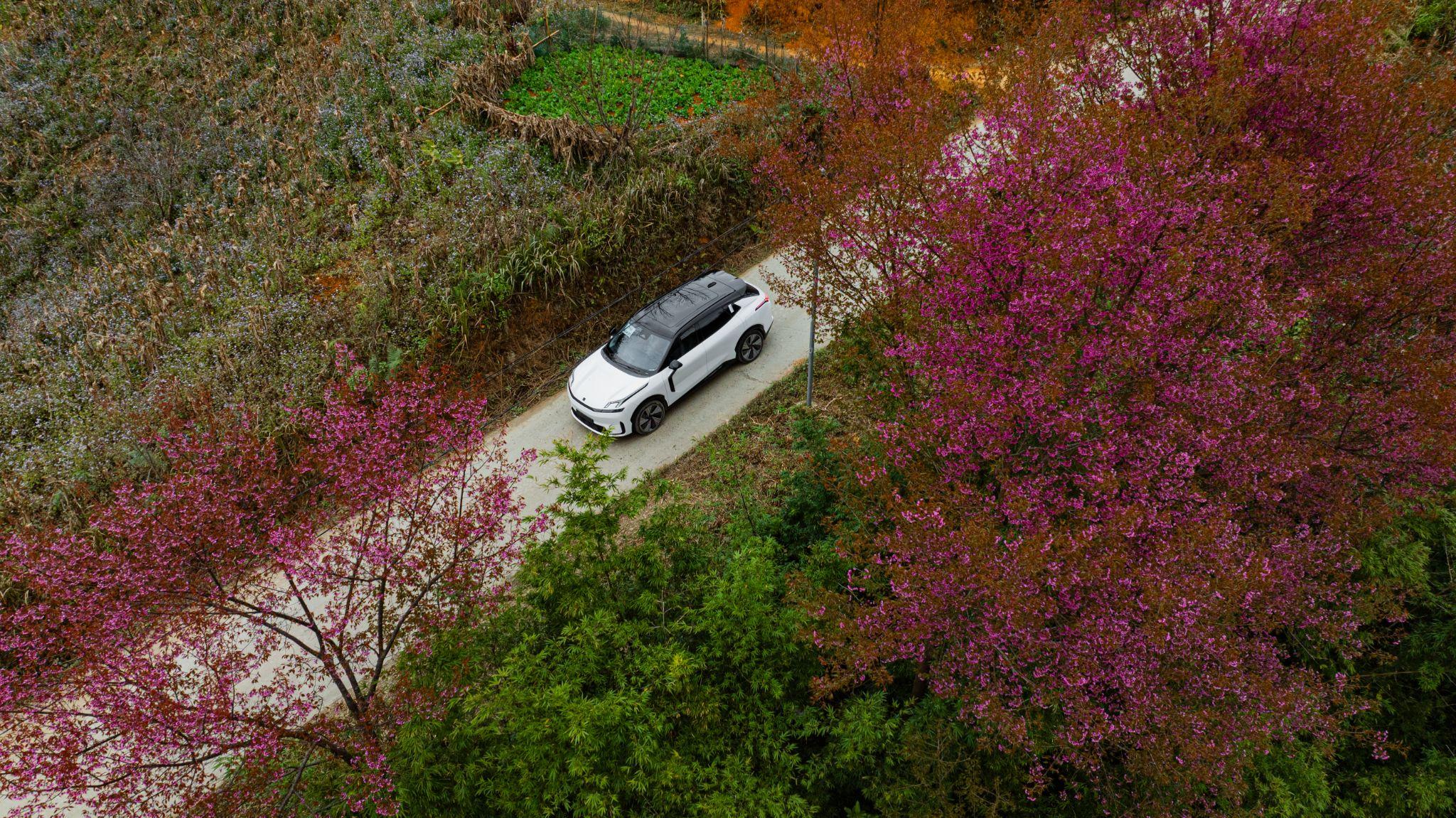 Lynk & Co 08 EM-P: "Tân binh" thiết lập kỷ nguyên mới tại Car Awards 2025 - 4