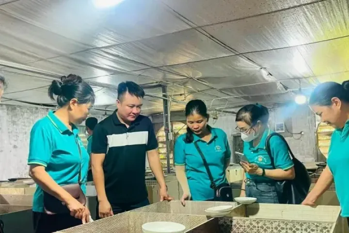 Làm giàu từ mô hình nuôi dúi má đào ở Phú Xuyên