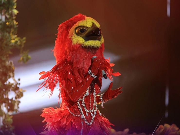 Những mascot từng gây sốt tại 'The Masked Singer' giờ ra sao? - 1