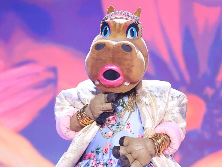 Những mascot từng gây sốt tại 'The Masked Singer' giờ ra sao? - 9