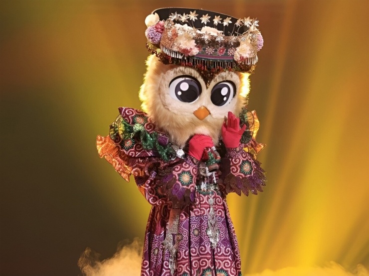 Những mascot từng gây sốt tại 'The Masked Singer' giờ ra sao? - 13