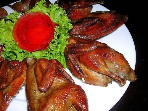 Thịt bồ câu cung cấp protein, axit amin và nhiều khoáng chất cần thiết cho cơ thể