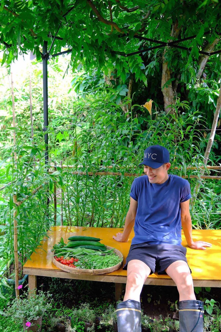 Chàng trai biến đất sau nhà ở Nhật thành vườn rau xanh mướt - 1