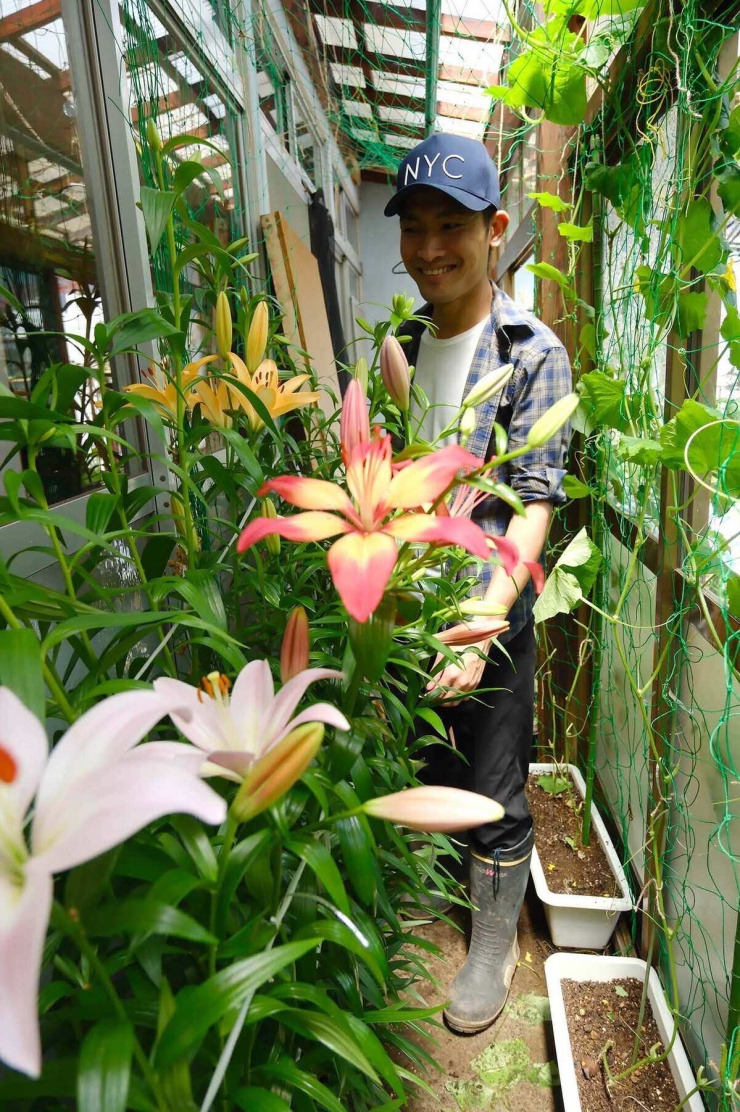 Chàng trai biến đất sau nhà ở Nhật thành vườn rau xanh mướt - 9