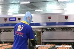 Ngân hàng rao bán trứng gà