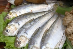 3 loại cá bình dân ở Việt Nam được ví như “kho dinh dưỡng”