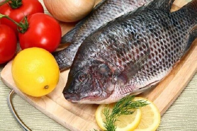 Việt Nam có 1 loại cá được mệnh danh là "gà nước" đại bổ cho xương khớp - 1