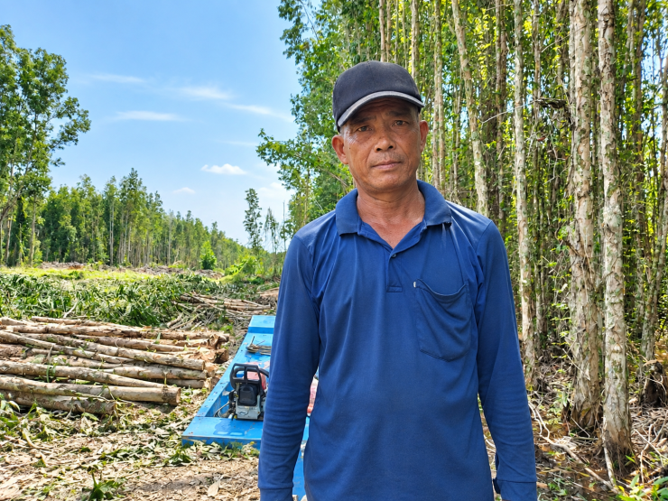 Ông Tuấn cùng vợ làm nghề đốn, vác tràm thuê. Ảnh: Ký Long