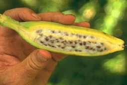 Tin tức sức khỏe - Trào ngược dạ dày gây viêm rát họng, đắng miệng, khó tiêu: Chỉ làm đúng 1 mẹo này mỗi tối là dễ chịu