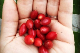 Tin tức sức khỏe - Chứng trào ngược dạ dày đã khiến cuộc sống tôi khổ sở nhưng rồi mẹo này đã cứu rỗi sức khỏe của tôi