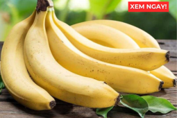 Tin tức sức khỏe - Thời điểm ăn chuối tốt hơn cả thuốc bổ, giúp phổi thông thoáng, ho giảm, đàm loãng và thở dễ hơn