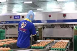 Nợ hơn 600 tỷ đồng, chủ thương hiệu trứng gà Ba Huân bị ngân hàng xiết nợ loạt bất động sản, chuồng trại, máy móc