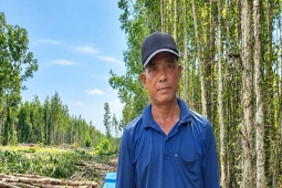 Cha đốn tràm thuê ban đêm, ngày rong ruổi tìm con gái lớp 8 mất tích