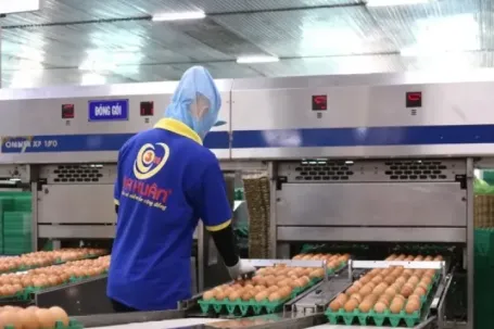 Nợ hơn 600 tỷ đồng, chủ thương hiệu trứng gà Ba Huân bị ngân hàng xiết nợ loạt bất động sản, chuồng trại, máy móc