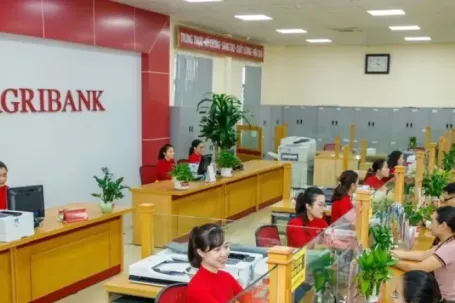 Ngân hàng rao bán nợ của doanh nghiệp từng mang tên Nghệ sĩ Quyền Linh