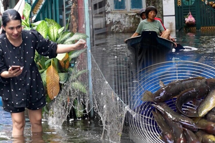 Giăng lưới bắt cá giữa khu dân cư TP HCM ngập như sông