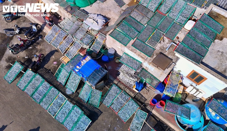 Lượng cá cơm còn lại sẽ được người dân làng chài tranh thủ đem phơi tại các khoảng sân trống, trên mái nhà để làm cá cơm khô.