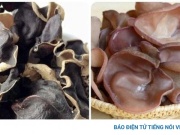 Mộc nhĩ tốt cho sức khỏe đến đâu? Những điều cần biết trước khi ăn