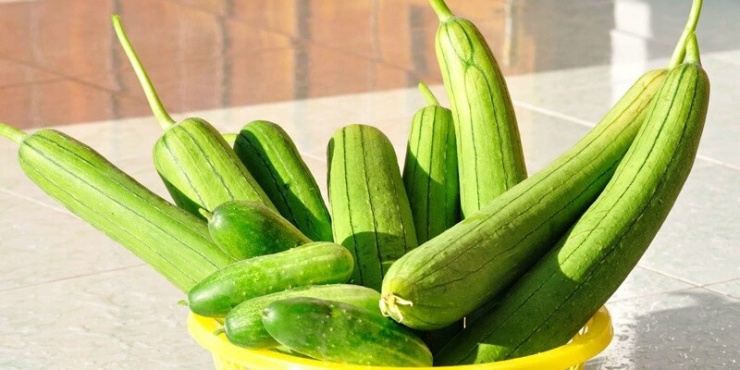 Mùa thu ăn gì để phổi khỏe, họng bớt khô? 4 loại rau nên biết - 1