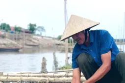 'Hái ra tiền' với nghề thả dây trên sông cho hàu bám