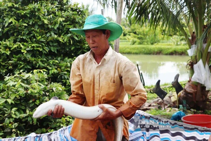 Nông dân ViệtNam xuất sắc 40 năm Đổi mới ở Cà Mau là "vua" nuôi con đặc sản, lãi ròng hơn 5 tỷ đồng/năm