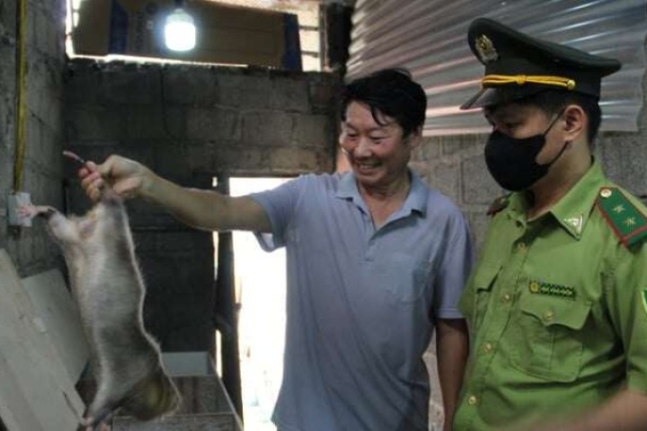 Nuôi loài vật “ăn gỗ ra tiền”, nông dân Lạng Sơn bật mí cách chọn dúi mẹ, phải biết một điều này
