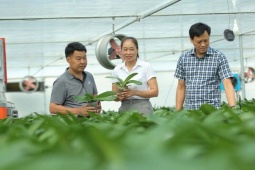 Bỏ ra hơn 10 tỷ trồng hoa lan, làm cách nào để một người Thanh Hóa thu 15 tỷ đồng/năm?