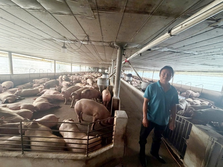 Mở rộng điều tra, Cơ quan CSĐT đã đồng loạt khám xét khẩn cấp tại 14 địa điểm là các trang trại, nơi ở của các đối tượng tại phường Trị An, phường Dầu Giây, xã Hưng Thịnh, xã Bàu Hàm... của TP Đồng Nai.&nbsp;